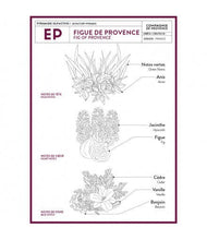 Load image into Gallery viewer, Liquid Marseille Soap, Provence Fig