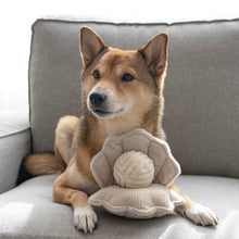 Load image into Gallery viewer, Oyster Dog Toy