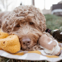 Load image into Gallery viewer, Fromage Dog Toy