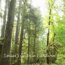 Load image into Gallery viewer, Laundry Soap Concentrate, Floraco Blend