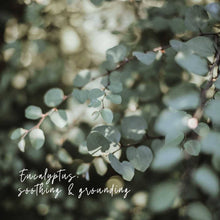 Load image into Gallery viewer, Hand Lotion, Magnolia Mint