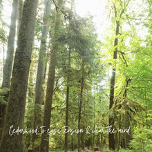 Load image into Gallery viewer, All-Purpose Cleaner, Floraco Blend