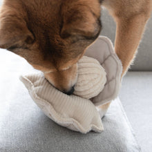 Load image into Gallery viewer, Oyster Dog Toy
