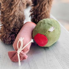 Load image into Gallery viewer, Olive + Salami Dog Toy Set