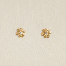 Load image into Gallery viewer, Aleli Stud Earrings