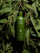 Load image into Gallery viewer, Rosemary & Clary Sage Hand Wash