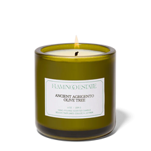 Load image into Gallery viewer, Ancient Agrigento Olive Tree Candle