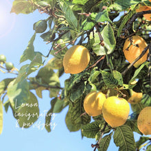 Load image into Gallery viewer, Hand Lotion, Magnolia Mint