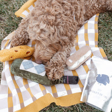 Load image into Gallery viewer, Merlot Dog Toy