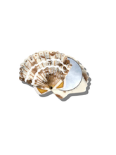 Load image into Gallery viewer, Hand-Painted Seashell Compact Mirror