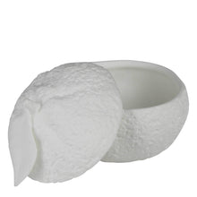 Load image into Gallery viewer, Mandarin Orange Box, Bone China
