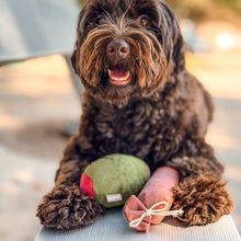 Load image into Gallery viewer, Olive + Salami Dog Toy Set

