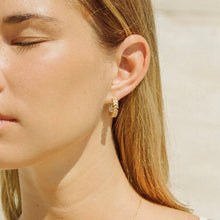 Load image into Gallery viewer, Laurea Hoop Earrings | Jewelry Gold Gift Waterproof
