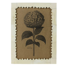 Load image into Gallery viewer, Carved Edge Bone Frame , 5&quot; x 7&quot;
