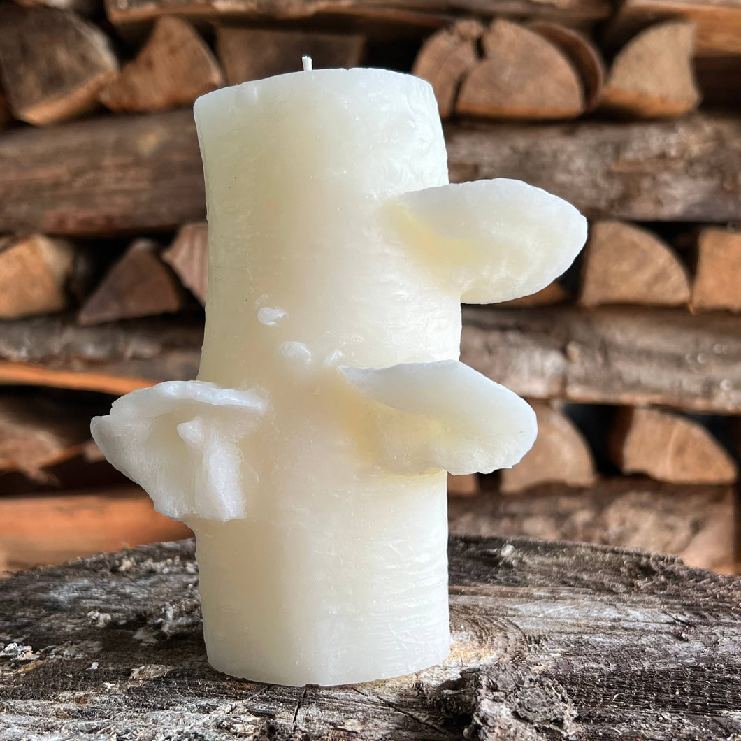 Birch Pillar, White Chocolate