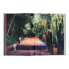 Load image into Gallery viewer, Flamingo Estate: The Guide to Becoming Alive
