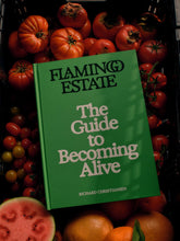 Load image into Gallery viewer, Flamingo Estate: The Guide to Becoming Alive
