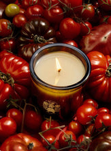 Load image into Gallery viewer, Roma Heirloom Tomato Candle
