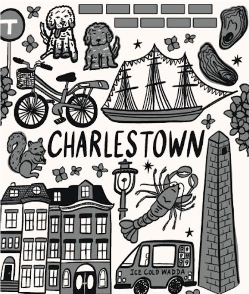 Charlestown Blanket, Charcoal - Monroe Exclusive