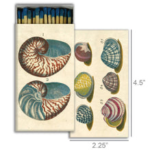Load image into Gallery viewer, Boxed Matches, 18th Century Shells
