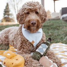 Load image into Gallery viewer, Merlot Dog Toy
