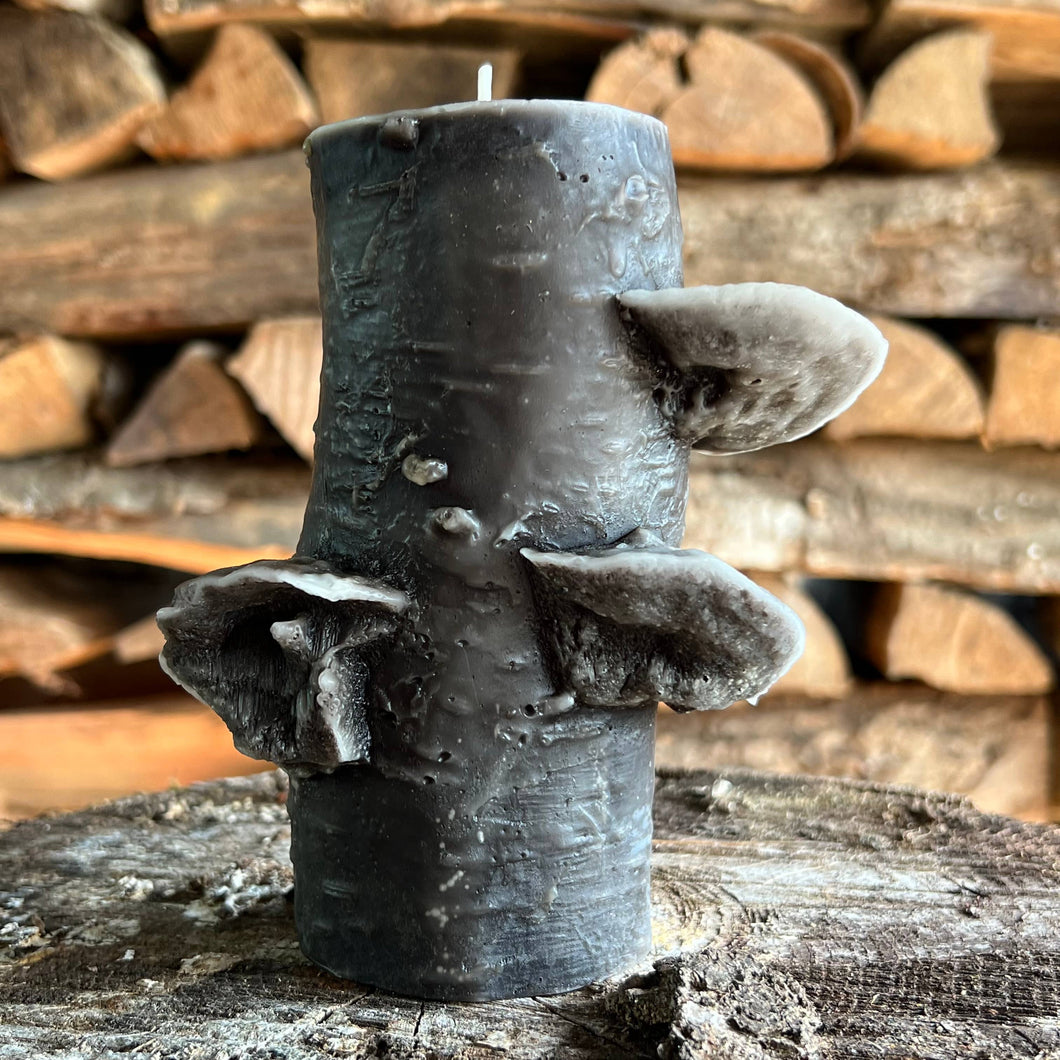 Birch Pillar, Dark Chocolate