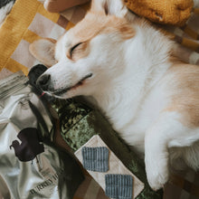 Load image into Gallery viewer, Merlot Dog Toy
