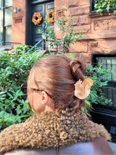 Load image into Gallery viewer, Hand-painted Squirrel Claw Hair Clip | Eco-Friendly
