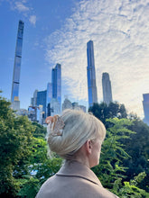 Load image into Gallery viewer, Hand-painted Squirrel Claw Hair Clip | Eco-Friendly
