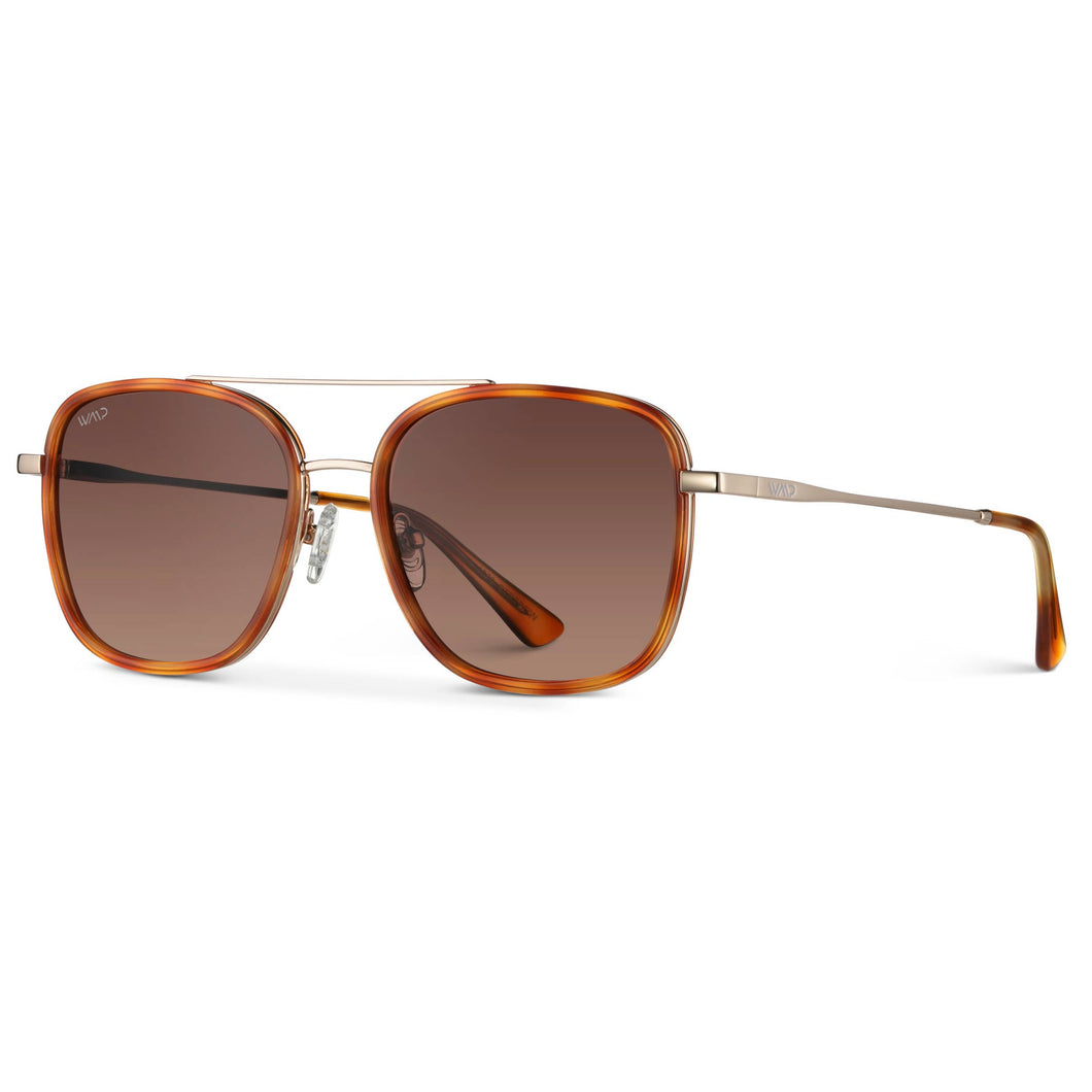Gia Sunglasses, Sunset Tortoise / Gradient Brown Lens