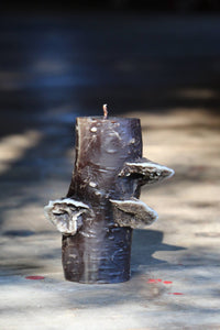 Birch Pillar, Dark Chocolate