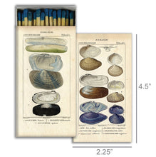 Load image into Gallery viewer, Boxed Candle Matches - Seashell Specimens
