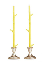 Load image into Gallery viewer, Maple Stick Candles, Honeysuckle Brown
