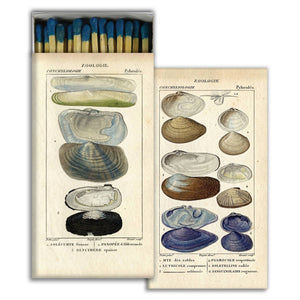 Boxed Candle Matches - Seashell Specimens