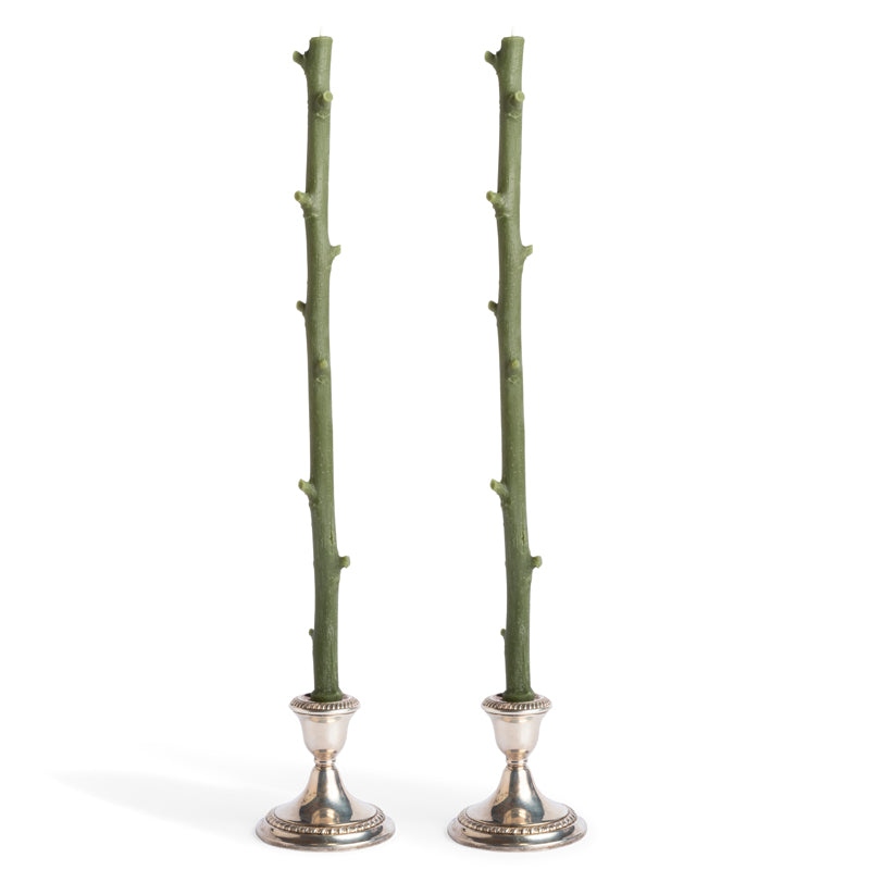 Hickory Stick Candles, Forest